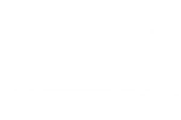Illustration featuring a grid of rectangular blocks showing features within Administrate's reporting engine, such as Currencies, Tax types, Gift vouchers, and more.